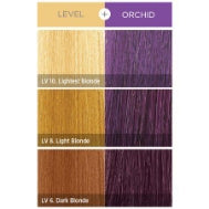 Kiss Colors & Care Tintation Semi-Permanent Hair Color Dye