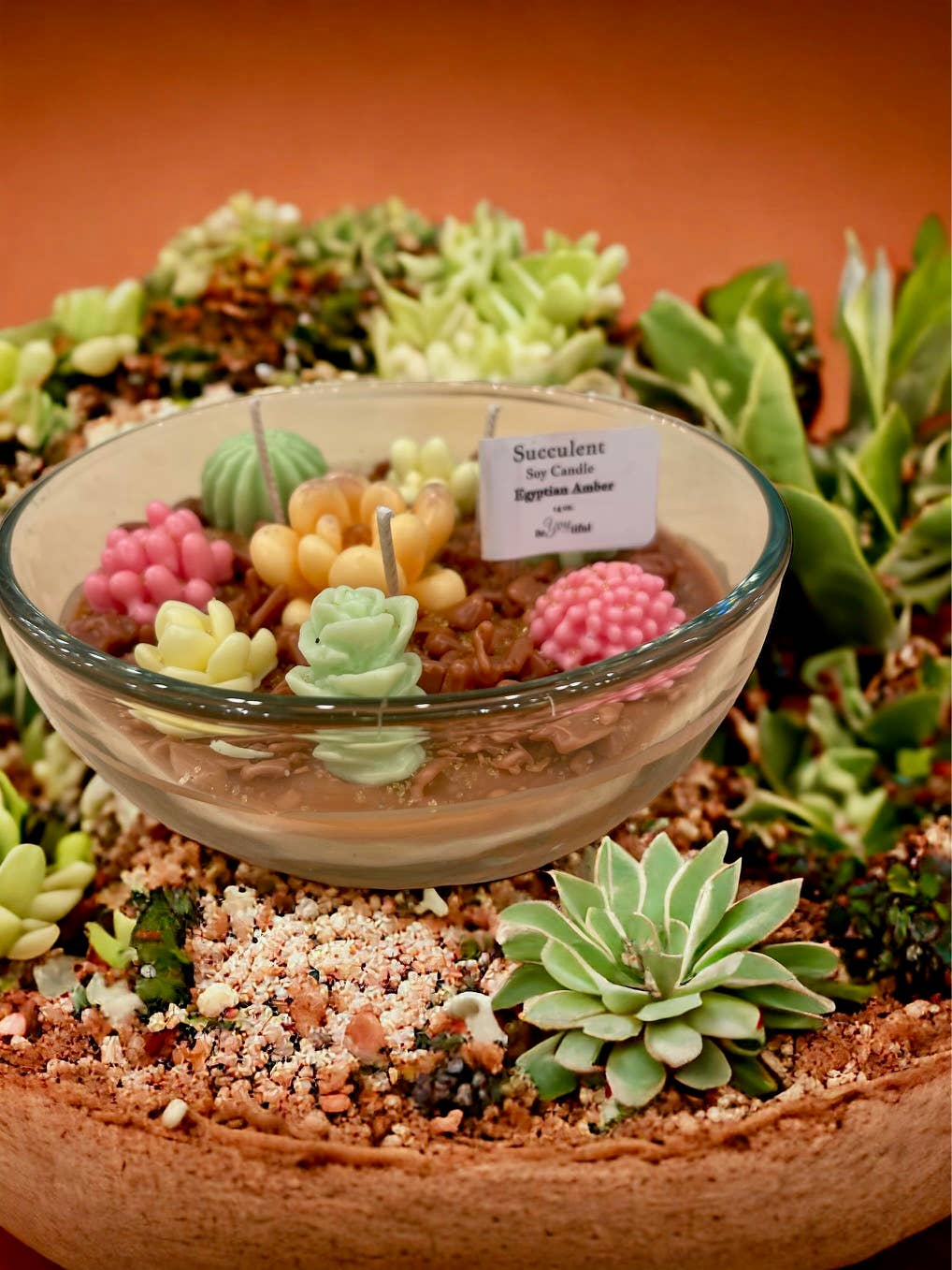 Succulent Candles: Desert Sun