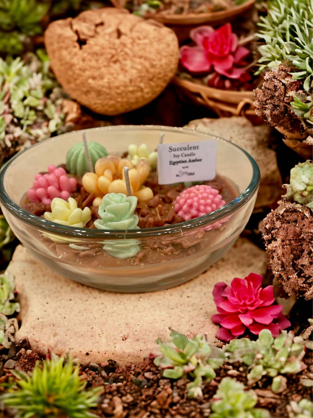Succulent Candles: Desert Sun