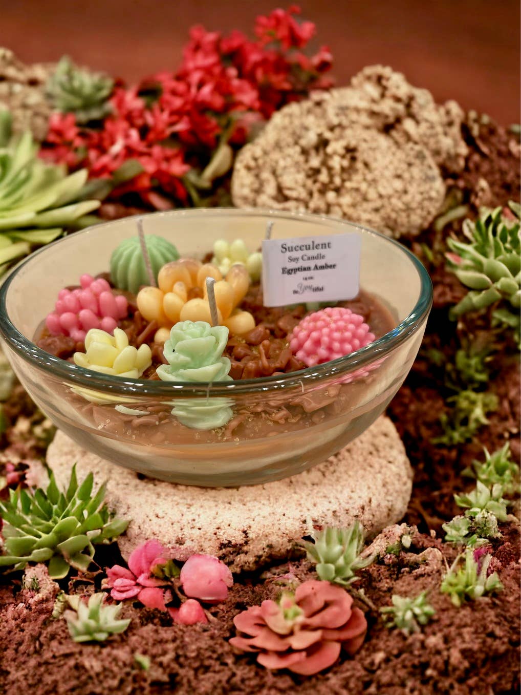 Succulent Candles: Desert Sun
