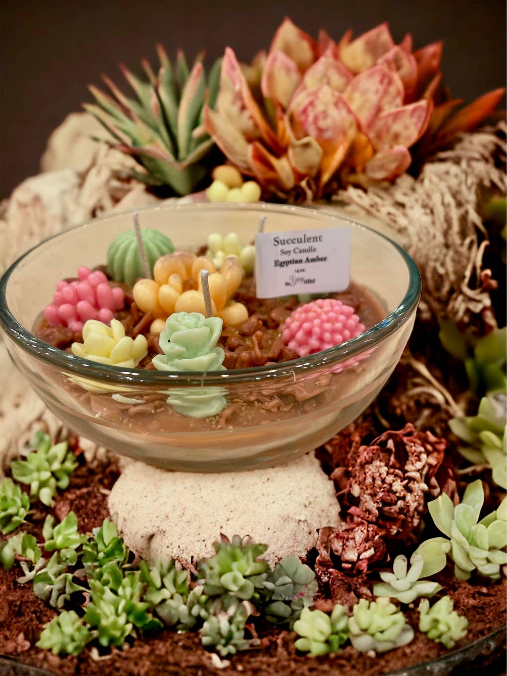 Succulent Candles: Desert Sun