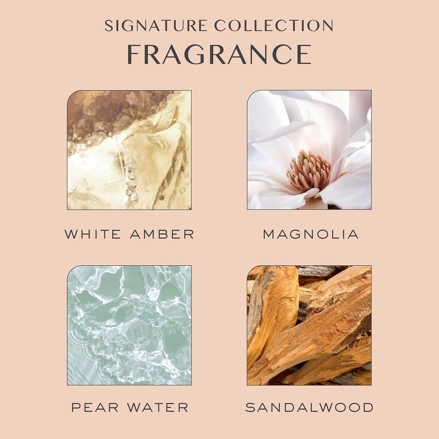 Hair Signature Salon Sulfate Free Shampoo and Conditioner Set for Moisture, Frizz + Shine - Color Safe, Vegan, Paraben Free - Clarifying, Hydrating Damage Repair for Women - Pear Fragrance